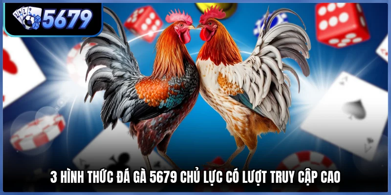3 hình thức đá gà 5679 chủ lực có lượt truy cập cao